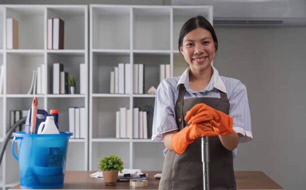 House and Office Cleaner