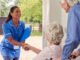 Caregiver jobs